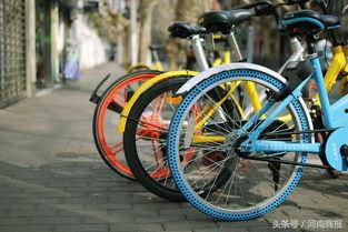 郑州自行车最新爆料,绿色出行新选择，未来骑行生活即将开启